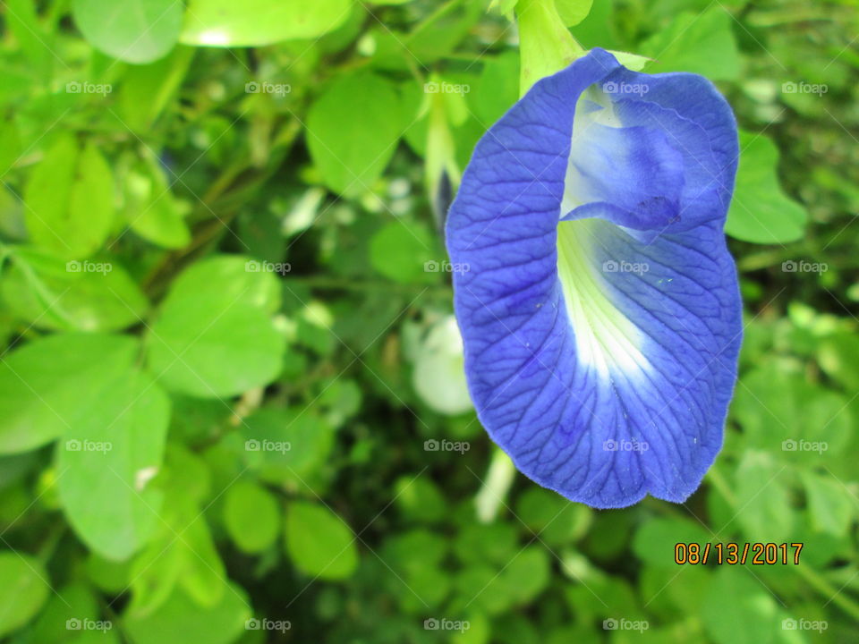 My Favourite BLUE!!!! .