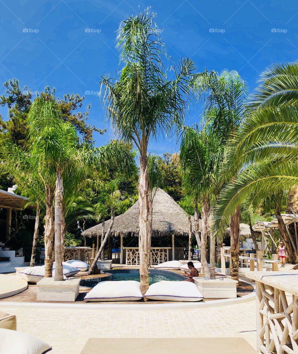 A beautiful memory of Thassos Island