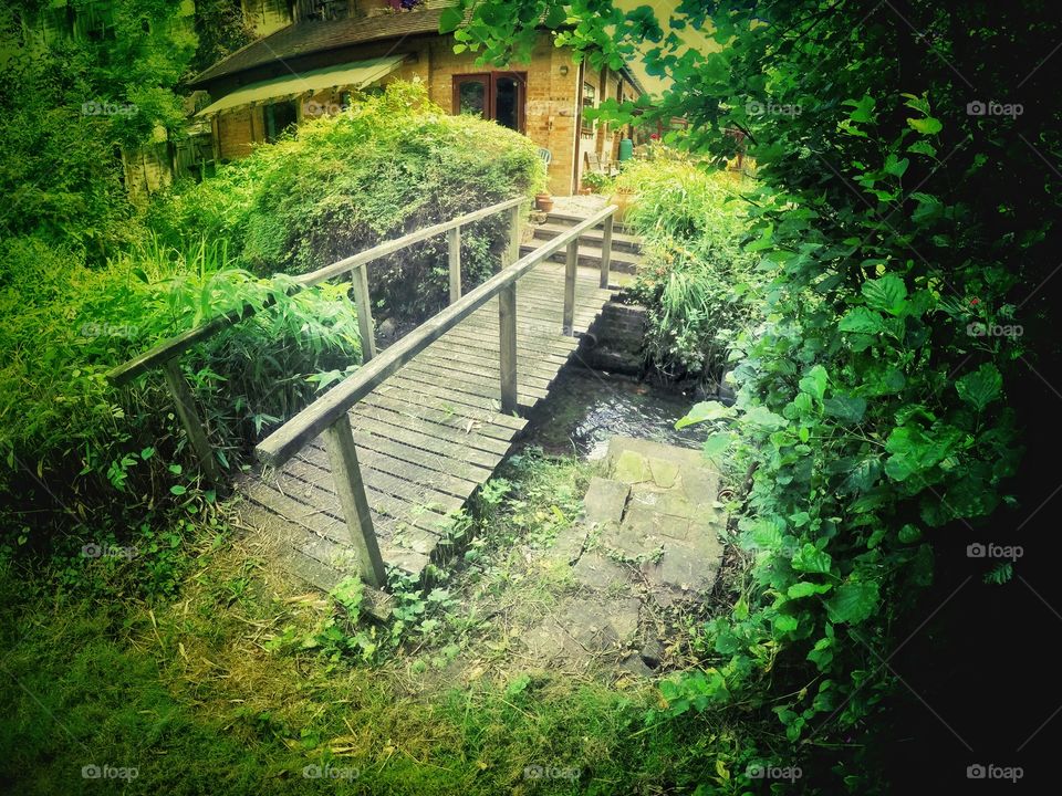 Bridge. Garden