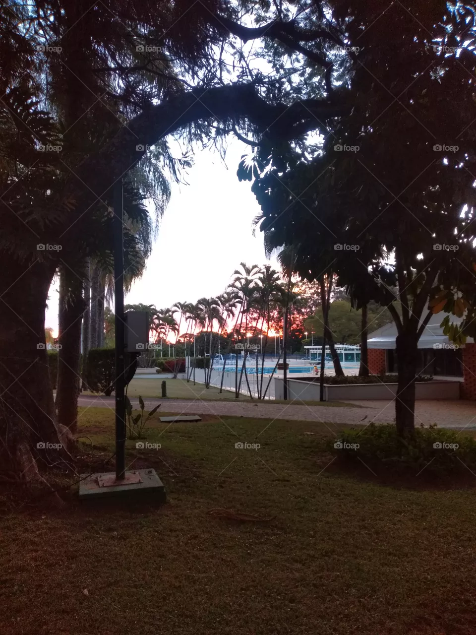bem vindo foap