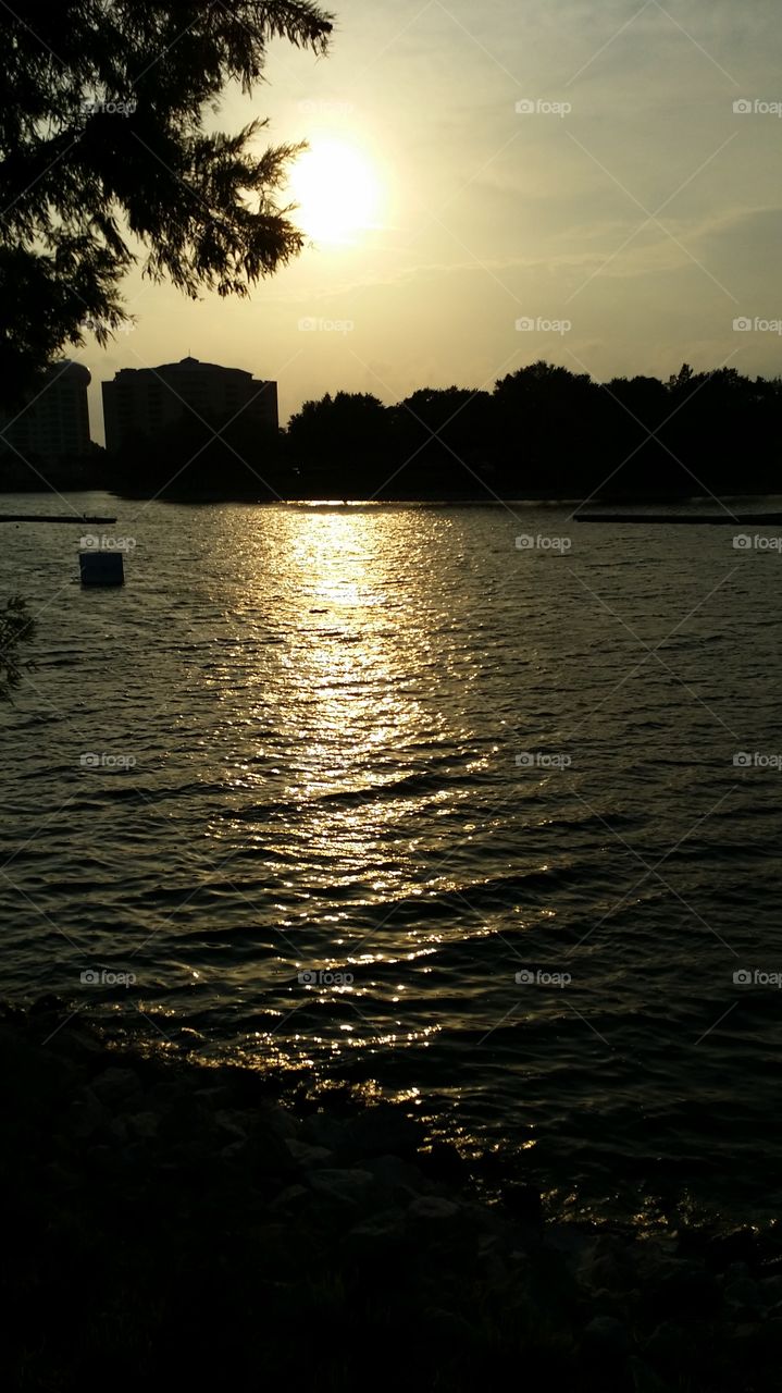 A sunset to remember. took this at Cranes Roost in Altamonte Springs Florida