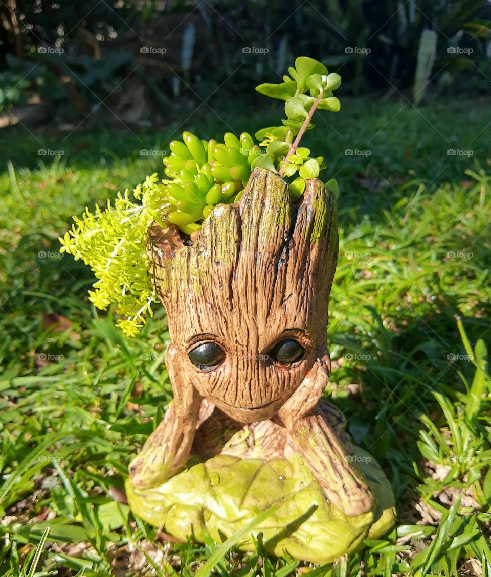 Groot pot