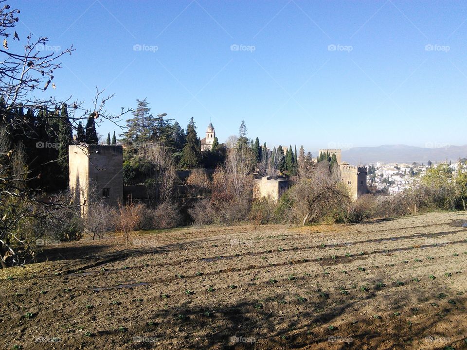 View of Alhambra, gardens and Granada