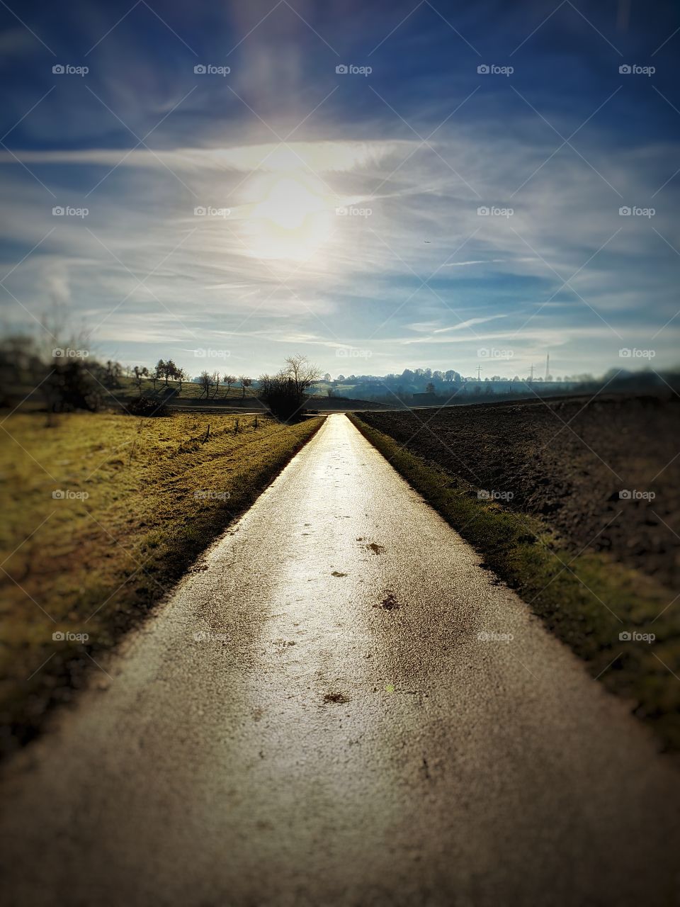 Road to the sun
