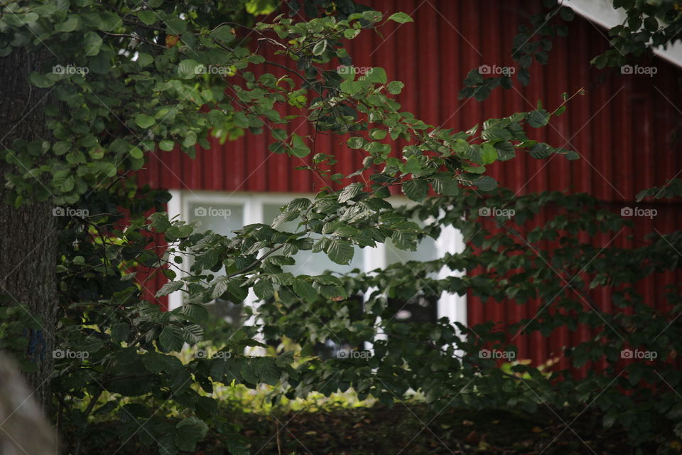 View from barbecue place