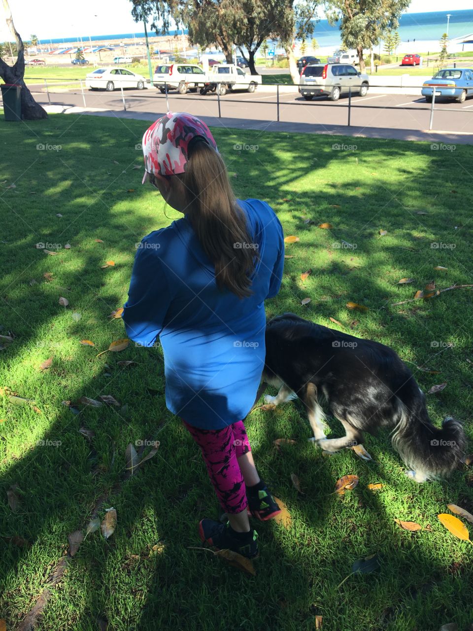 Back view from
Higher angle of young girl wearing baseball
Cap, blue top and pink leggings tights walking border collie sheepdog in grassy park near children's playground