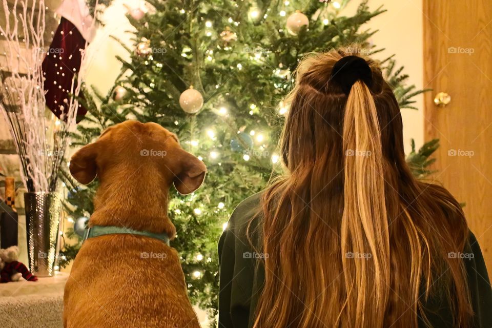 My daughter and our puppy loving the Christmas lights