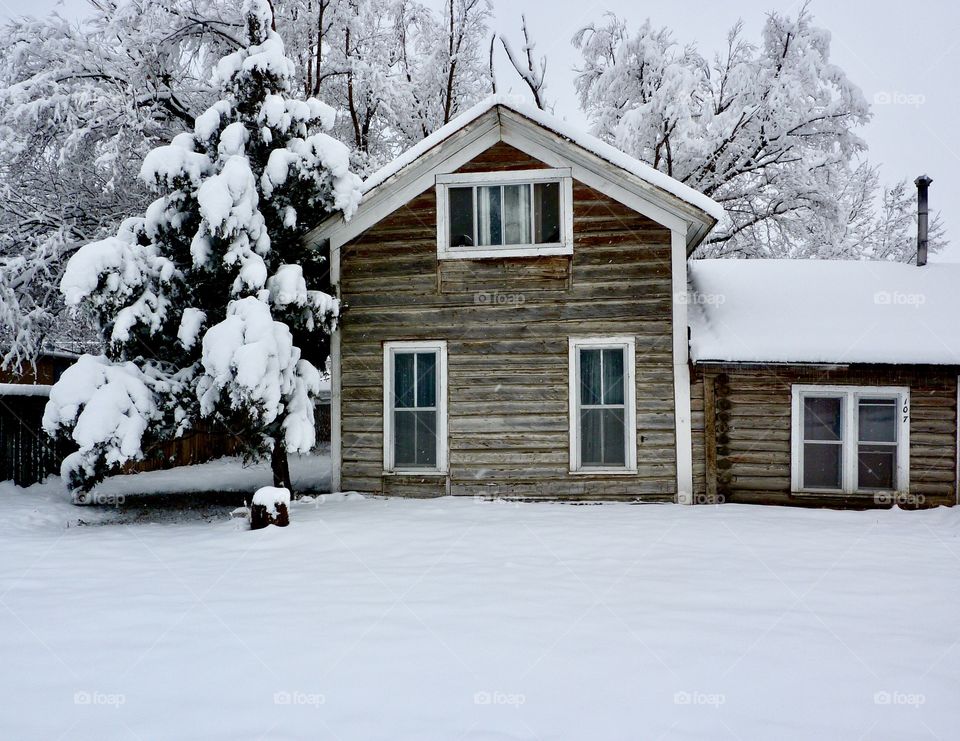 Snowy Afternoon