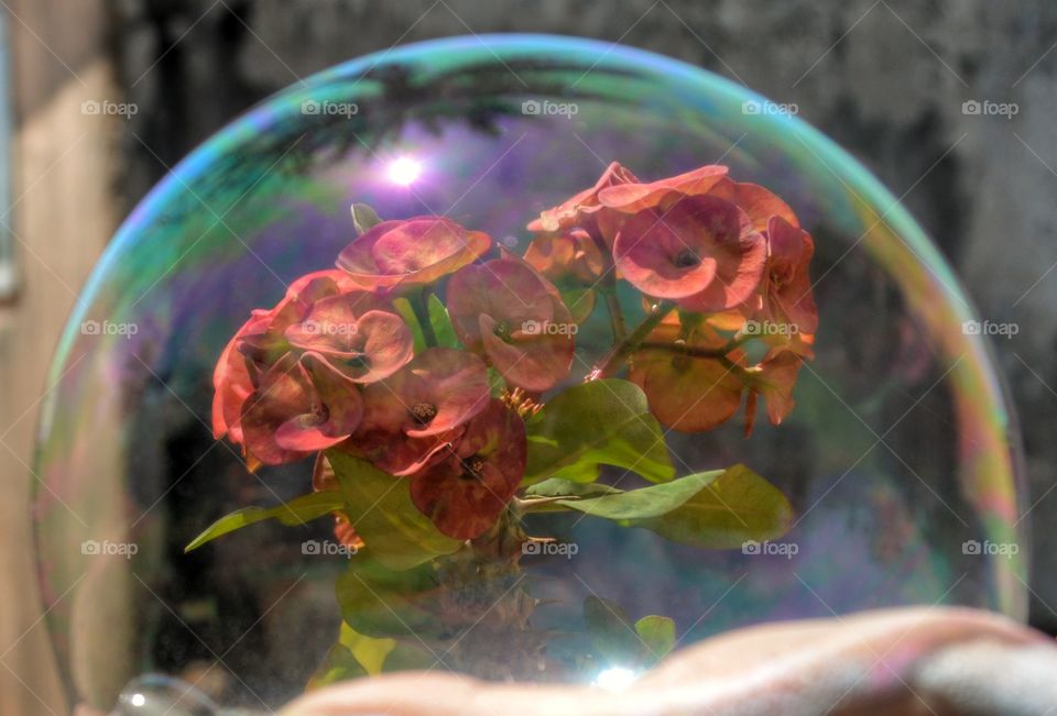 Hand made Bubble with flowers and sun reflections and beautiful background