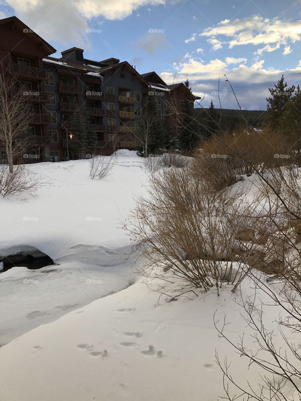 Frozen creek in ski town