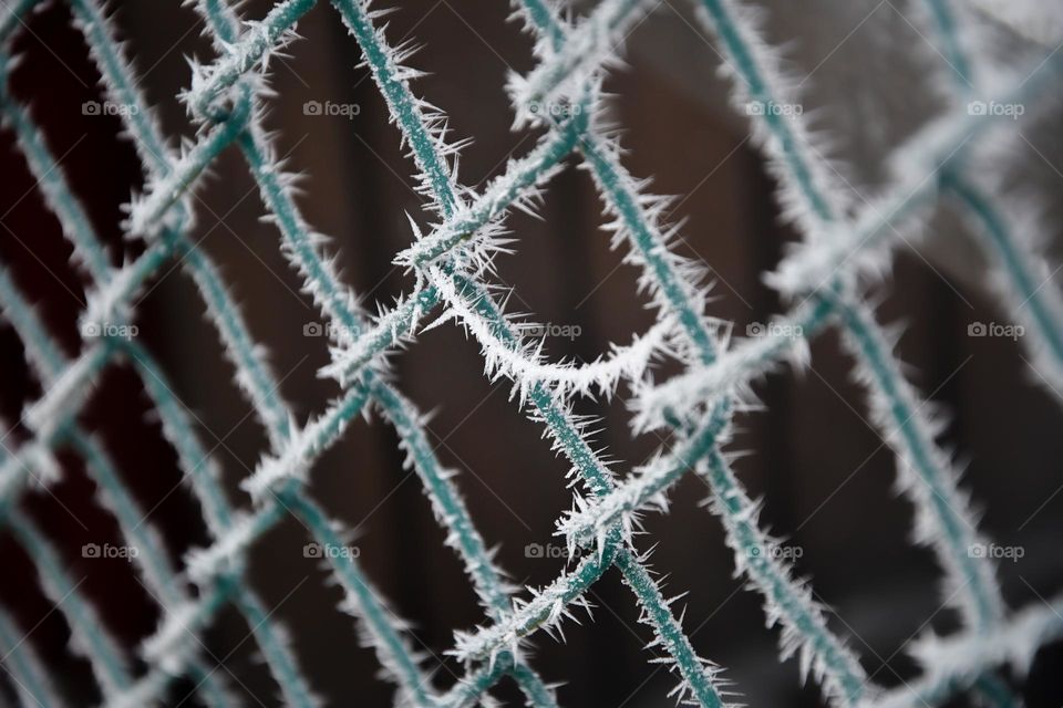 Closeup of ice or snow on fence