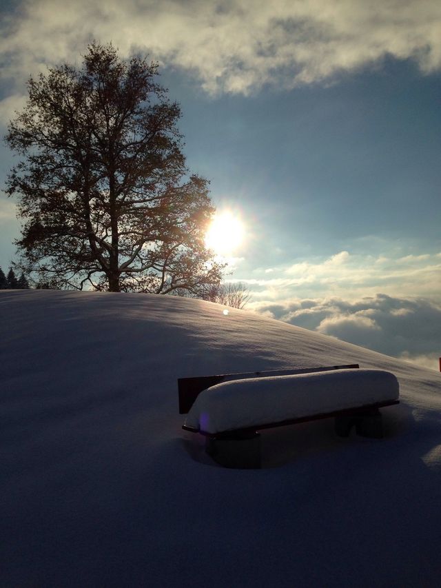 Snow bench