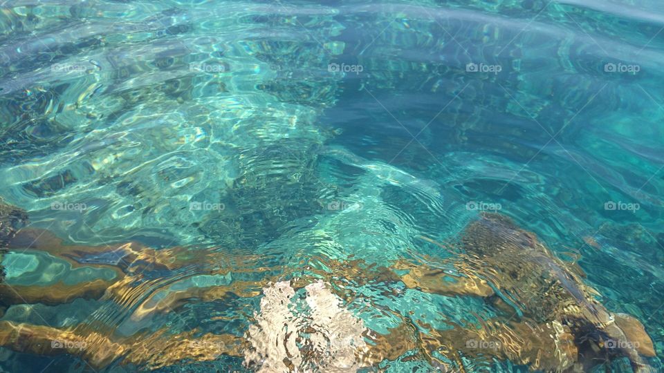 on the sea, point of view