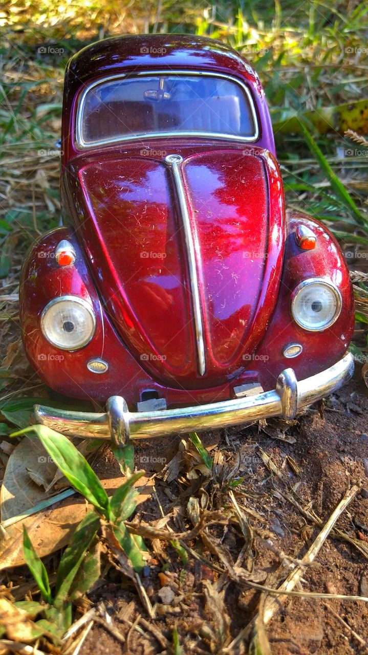 carro car vermelho red beetle