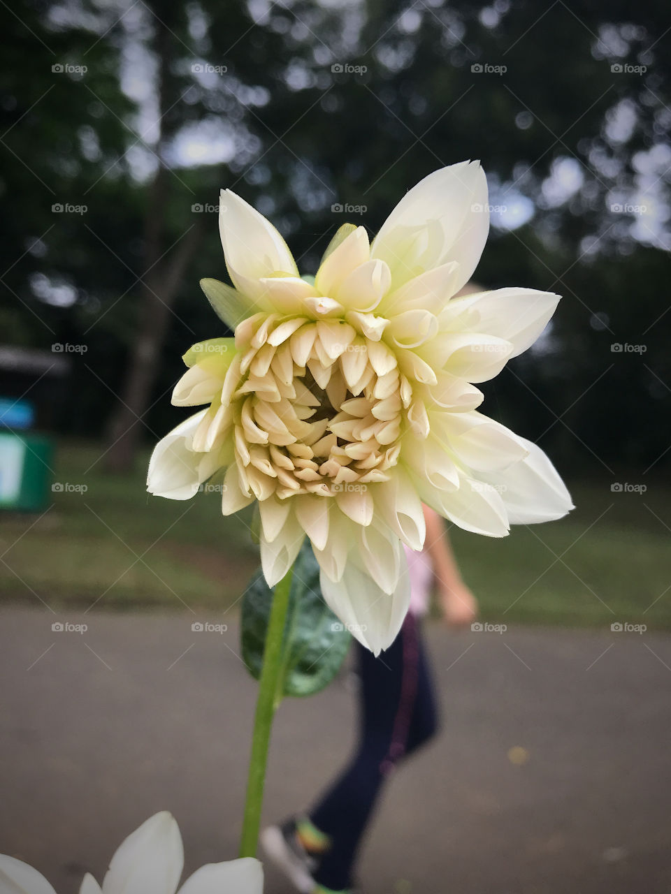 Flower macro