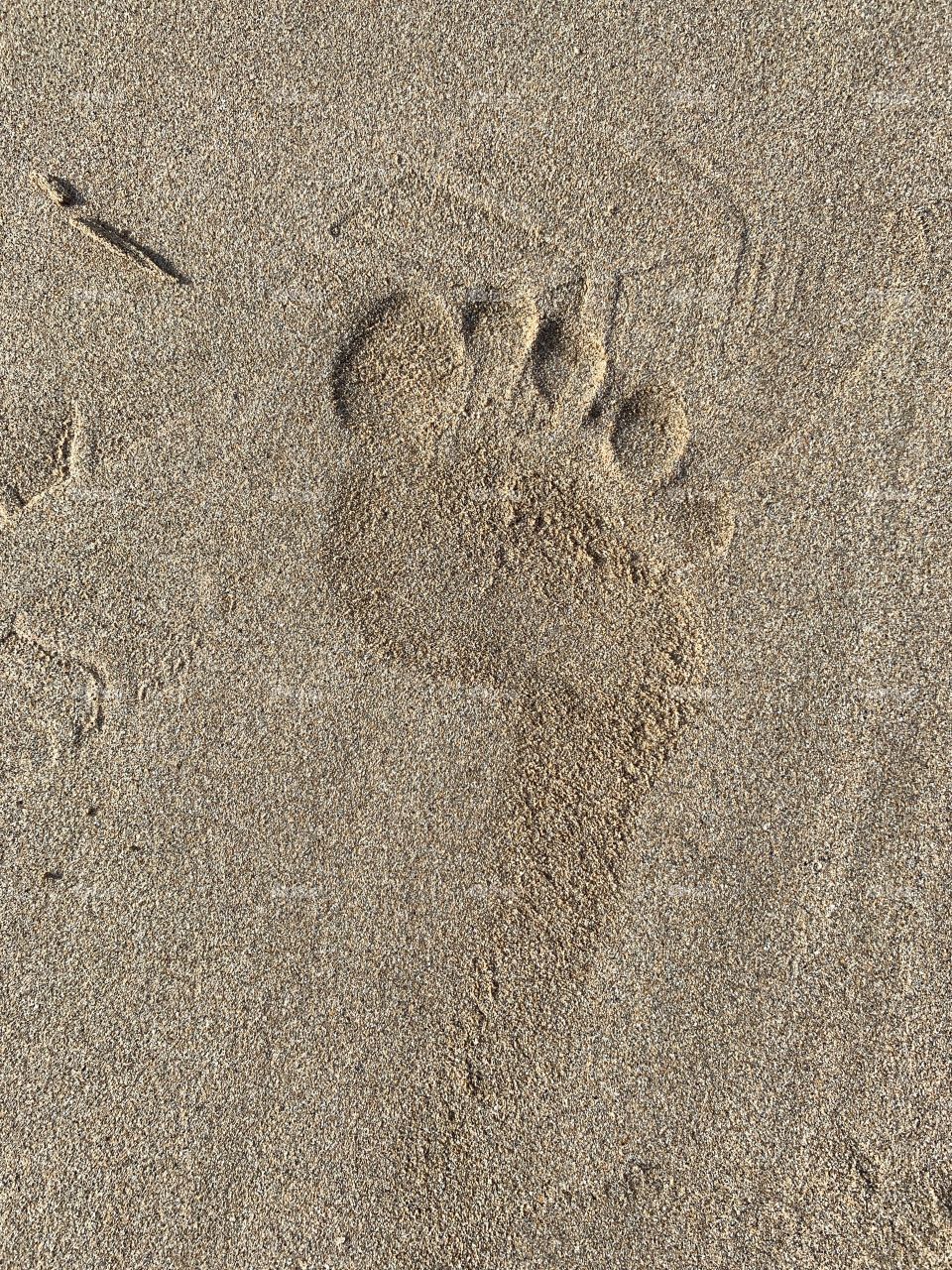 Footprints In The Sand