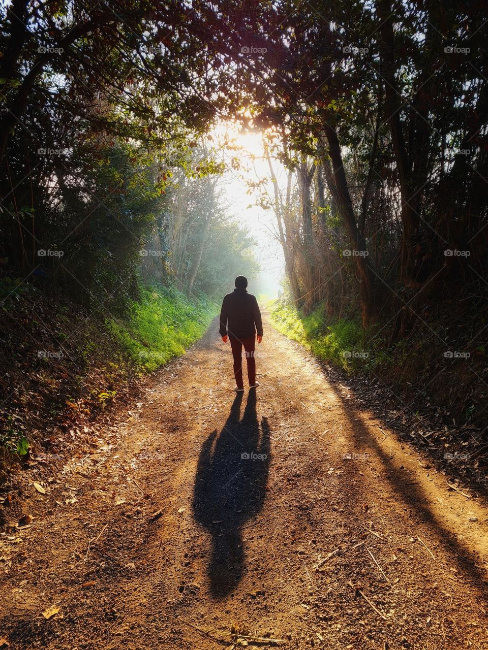 man from behind and his shadow in the woods