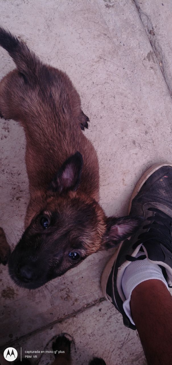 Marley bb