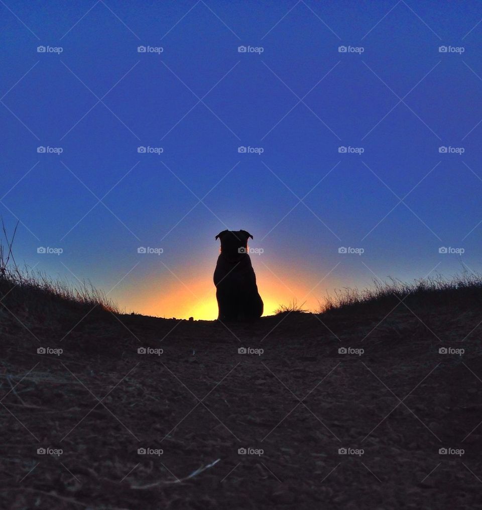 Taking time to reflect