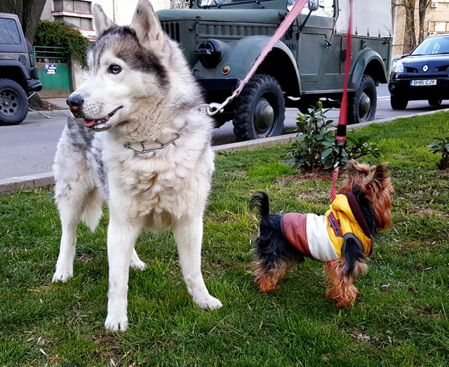 Big and small