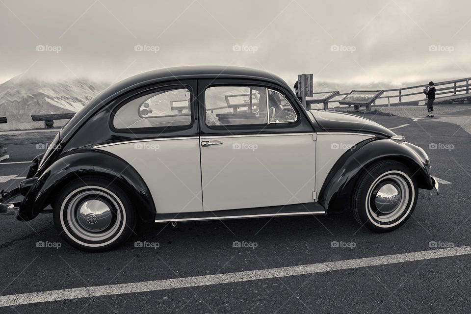  VW Beetle