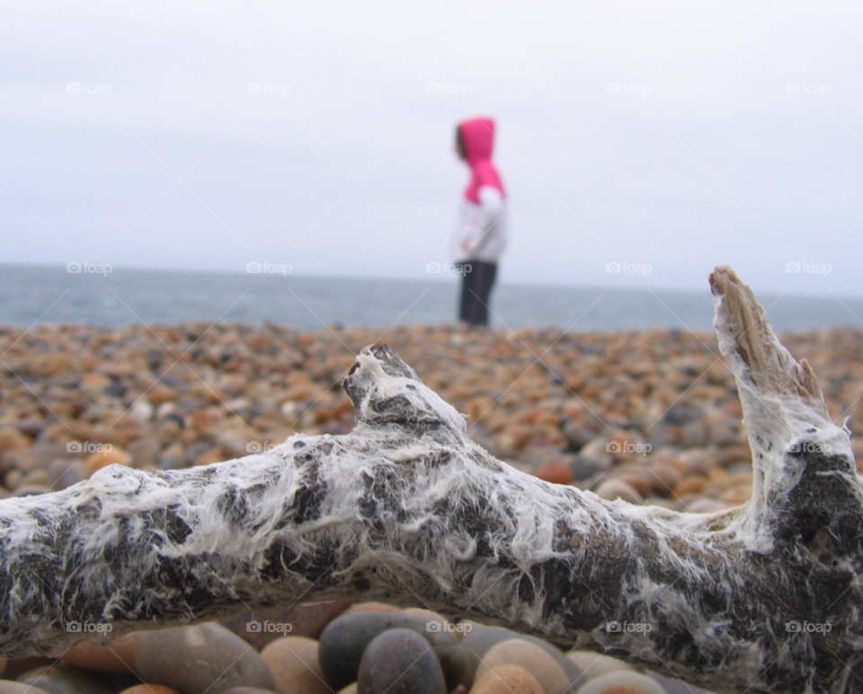 chesil beach weymouth england beach pebbles driftwood by loz091262