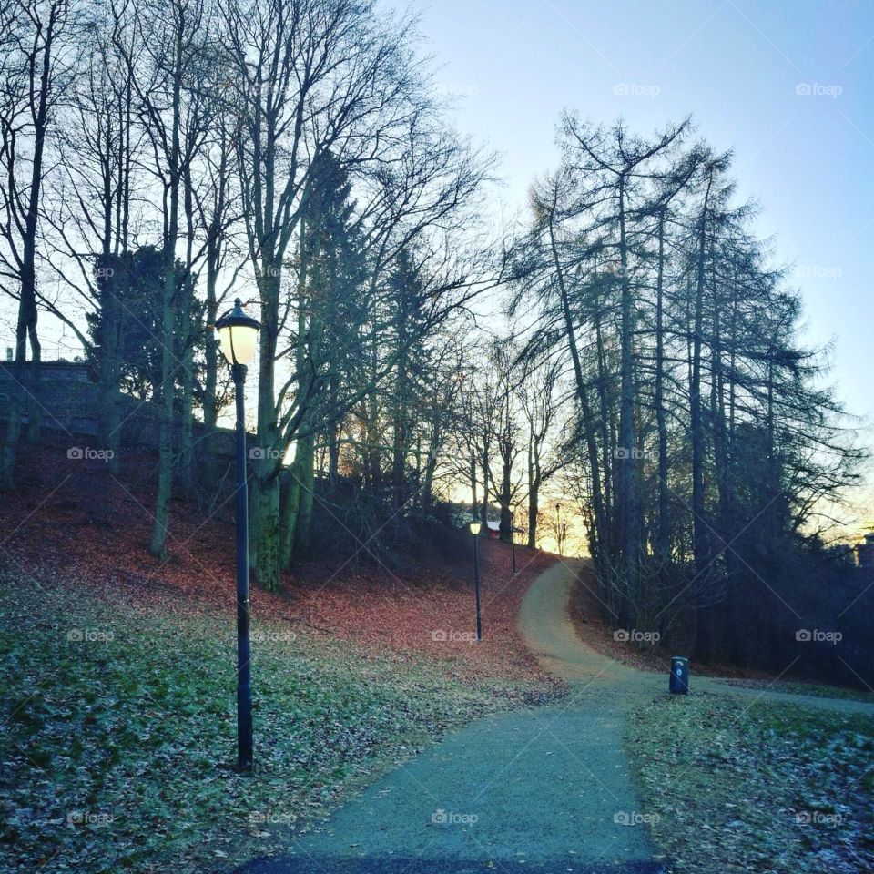 Pathway during Autumn