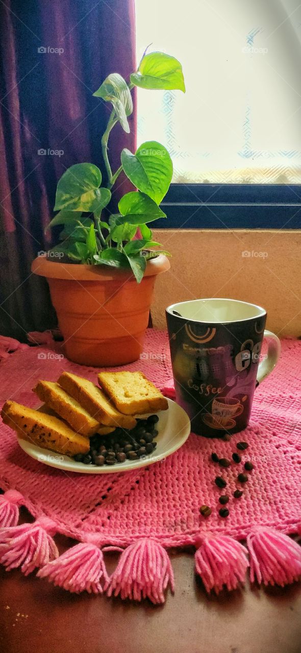 Coffee is must in the morning and evening, it refreshes the mind, highly active making liquid