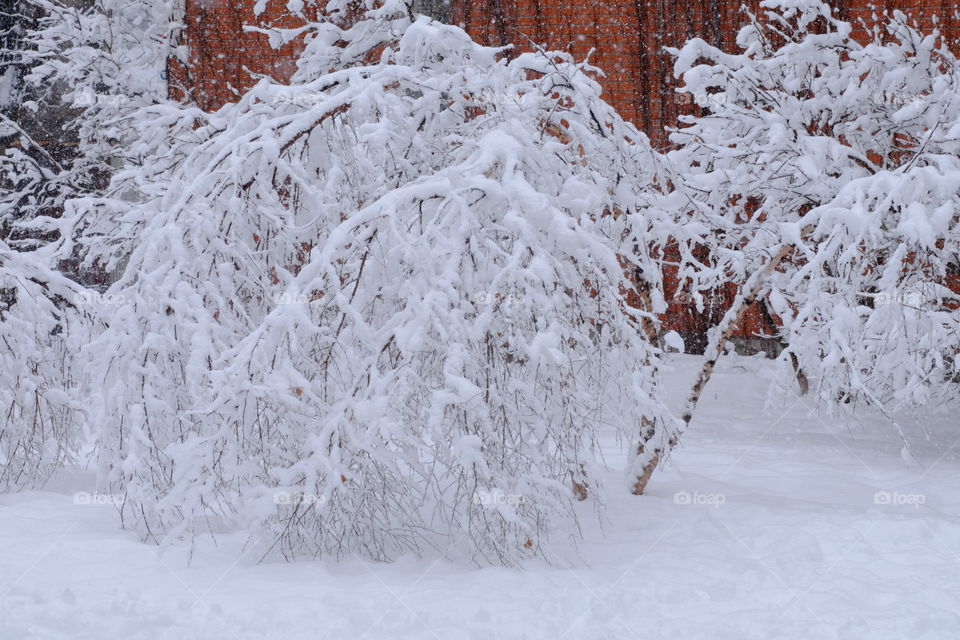 Just a cold and stormy snowfall day in Montreal 