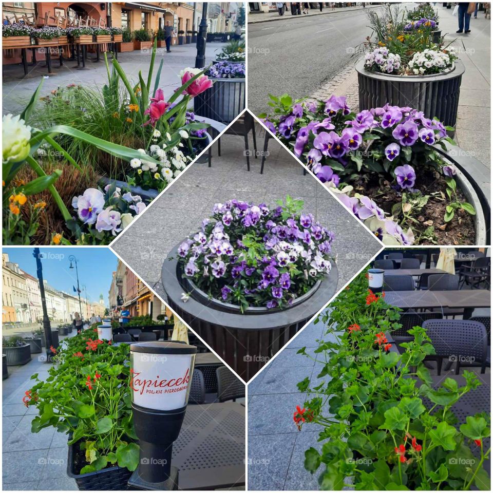 a pedestrian street with outdoor seating areas flowers include tulips, pansies, and other colorful blooms, creating a lively, springtime atmosphere in a city