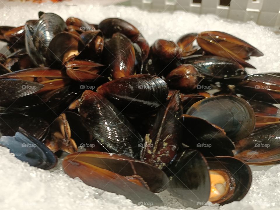 Mussels