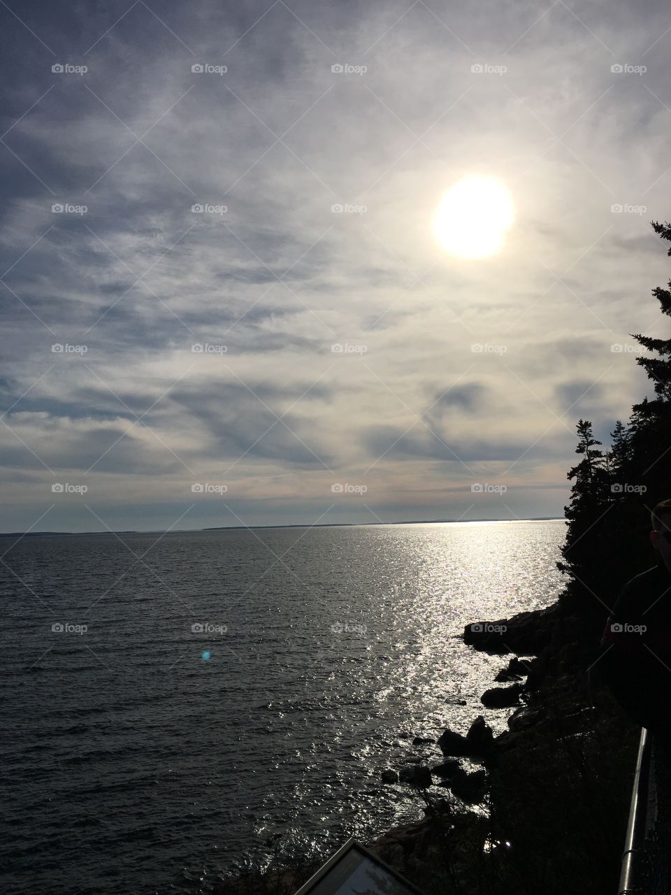 Afternoon sun in Bass Harbor