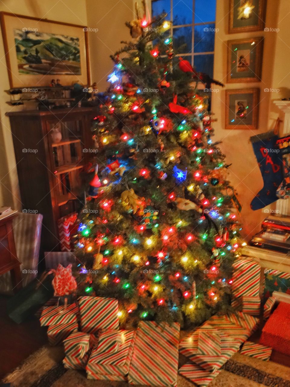 Christmas Tree At Home