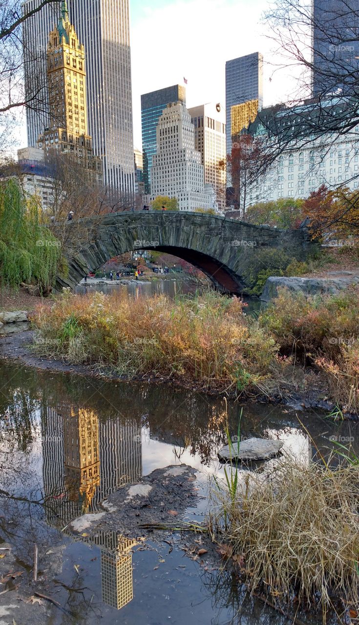 Exploring Central Park NYC