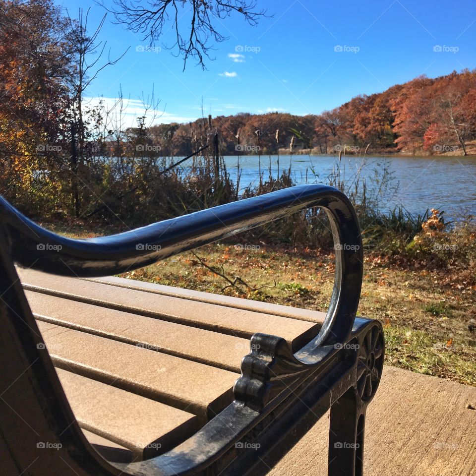 Bench with a lake view