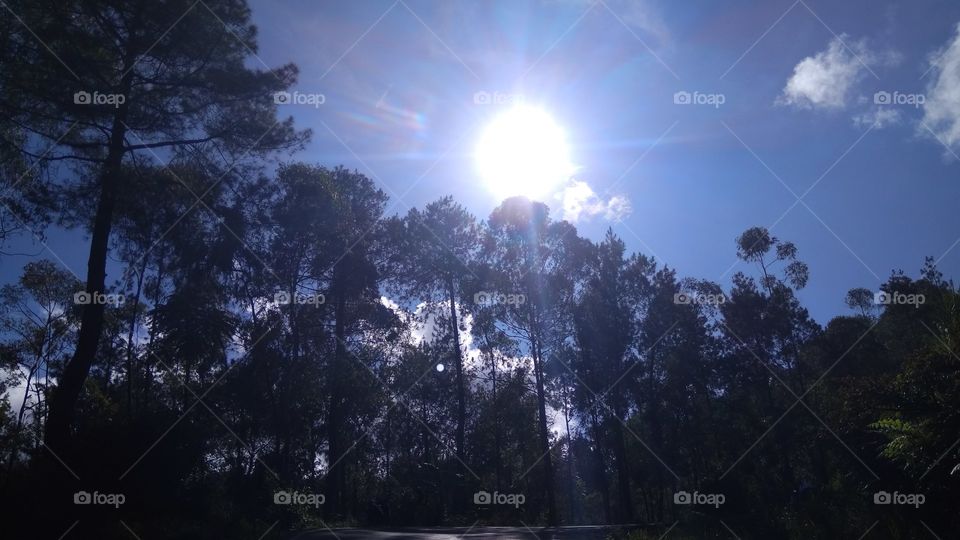 sunrise behind the trees