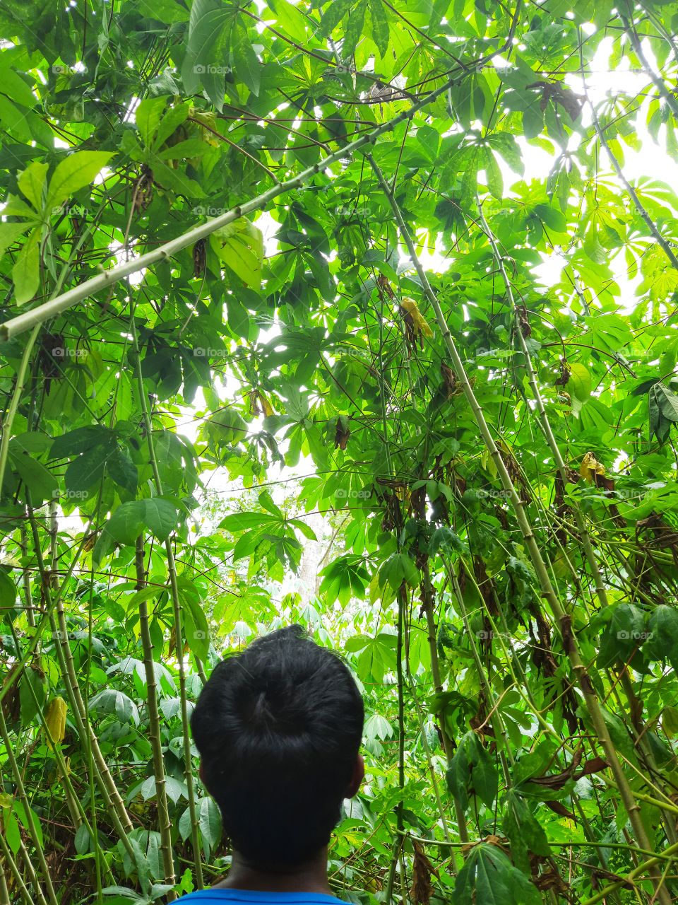 A beautiful view of nature in the morning