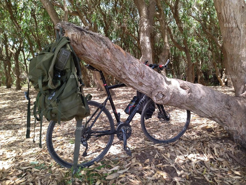 Picnic and bike in the forest