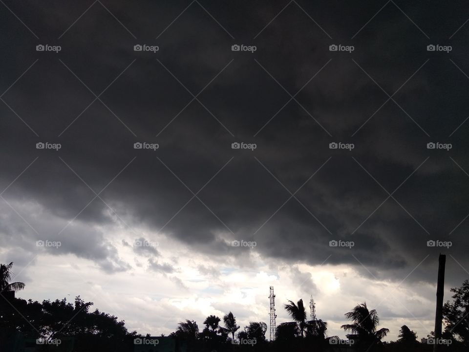 Rainy Days with nature