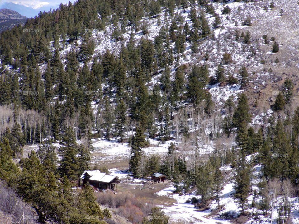 Wolf creek pass colorado