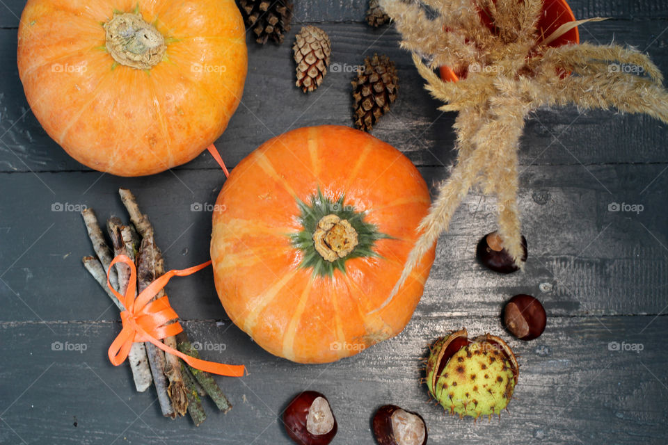 Pumpkin, vegetable, orange