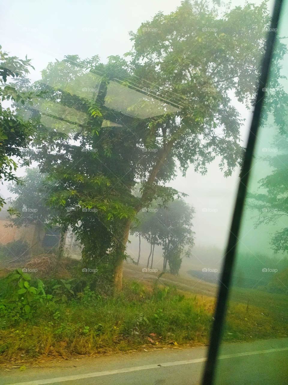 The shadow: some of it