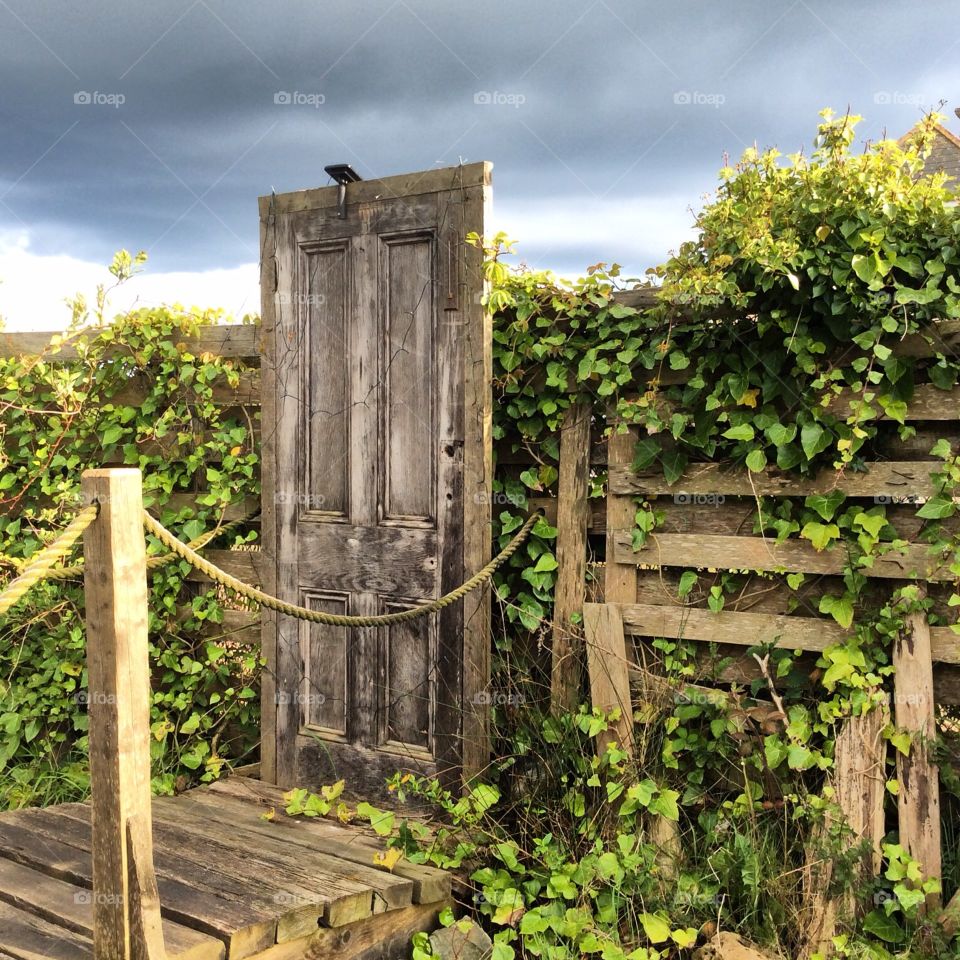 Old door. Door in the garden