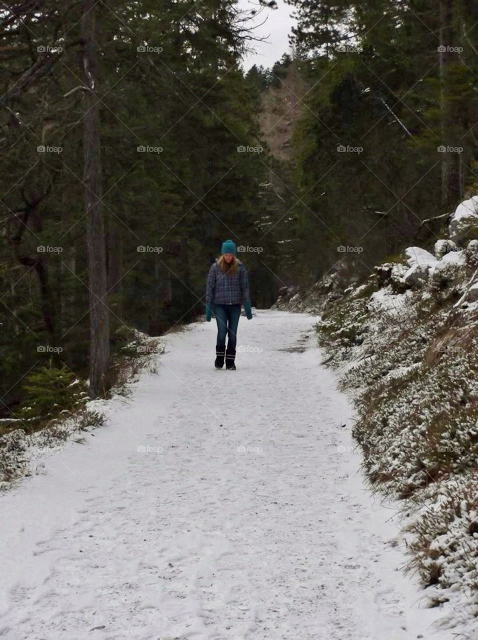 Snowy path