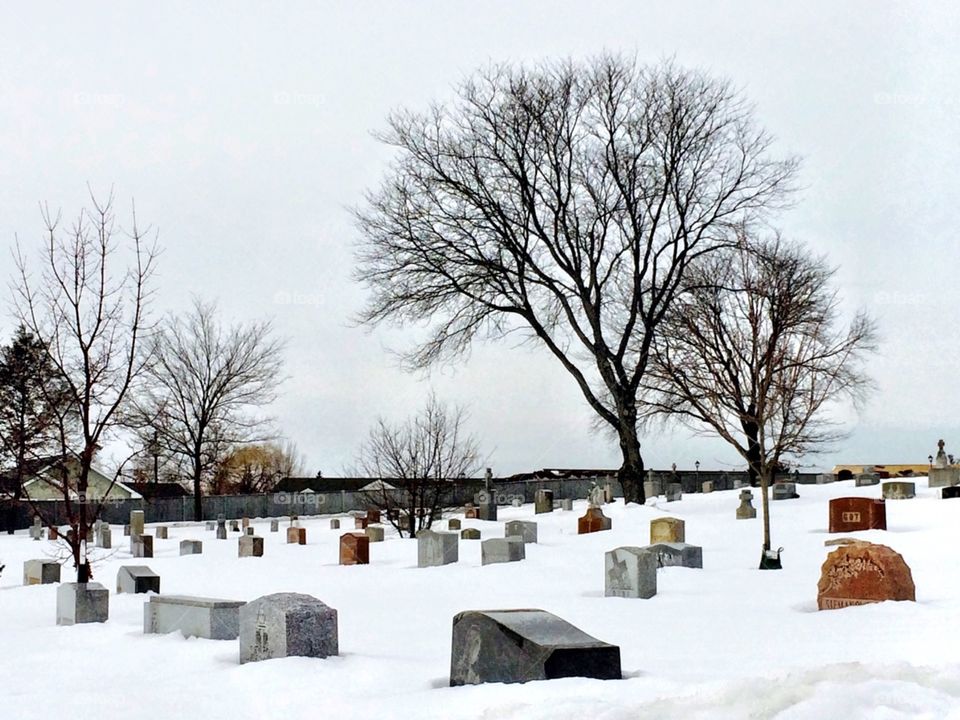 Snow covered cemetery 