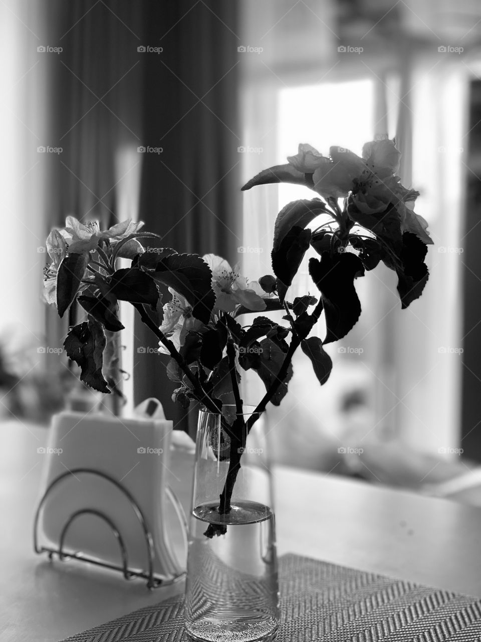 blossoming apple tree branch in a glass vase on the kitchen table. 