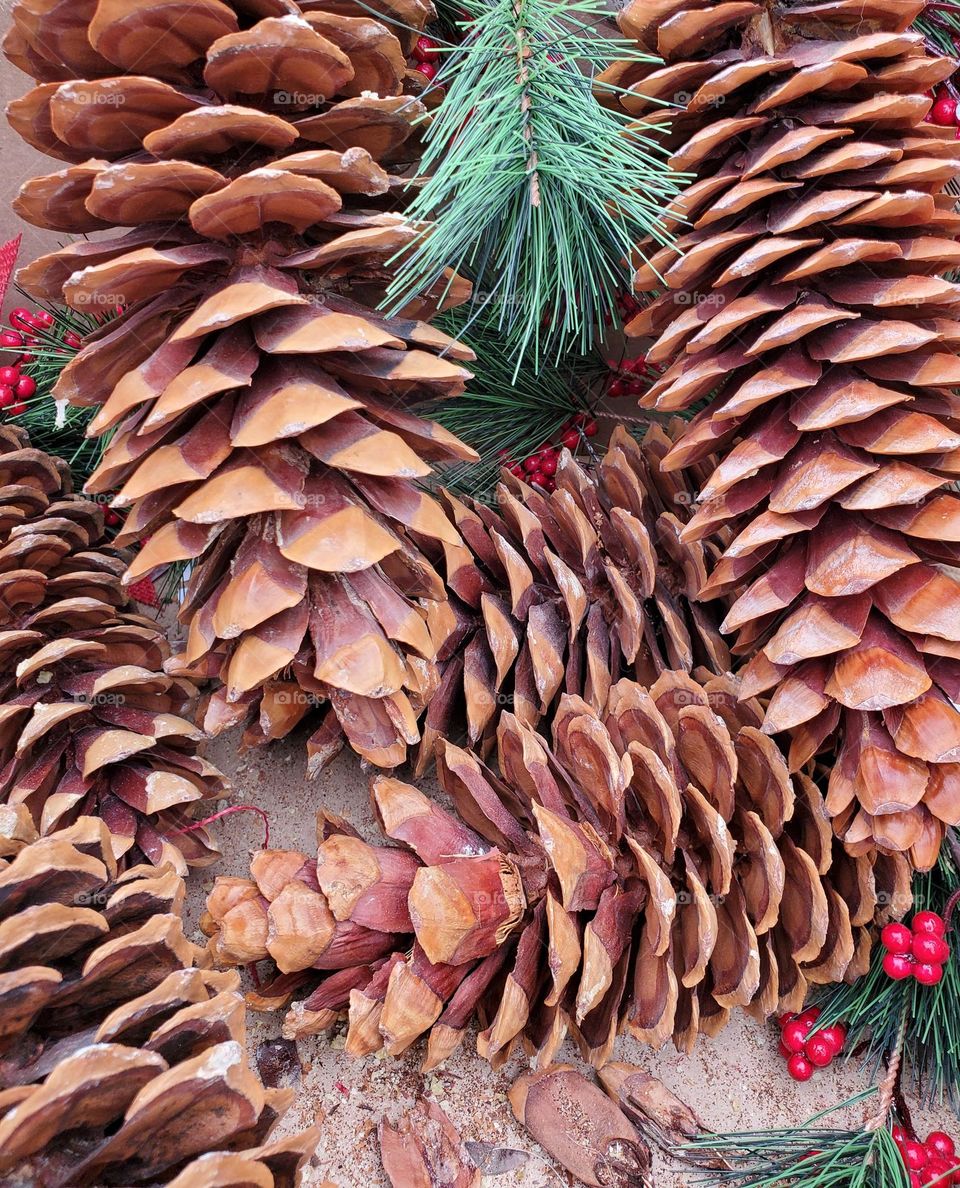 Red Berries and Pine Cones