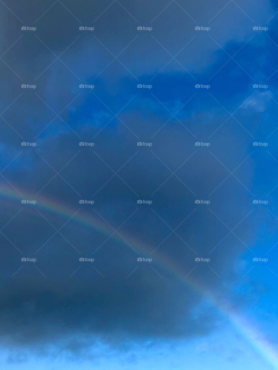 after rainfall comes nature’s gift with a bow 