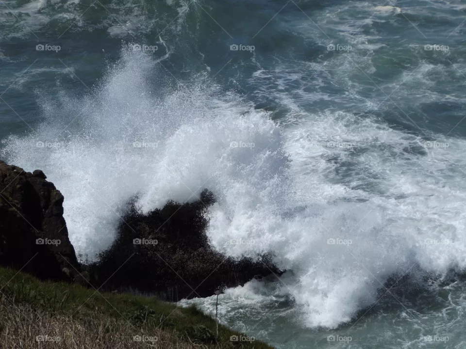 Wave 