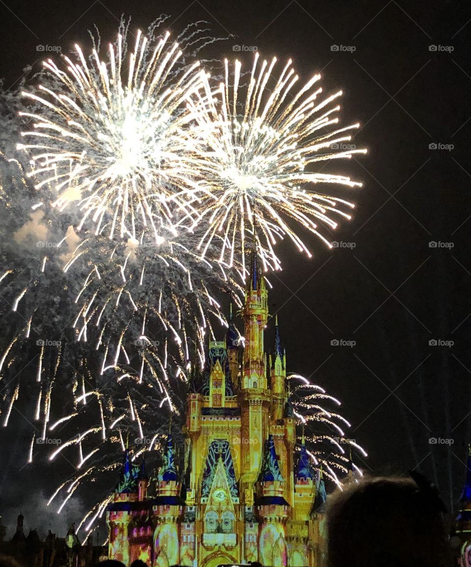 Fireworks over Disney Castle 